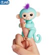 میمون baby monkey